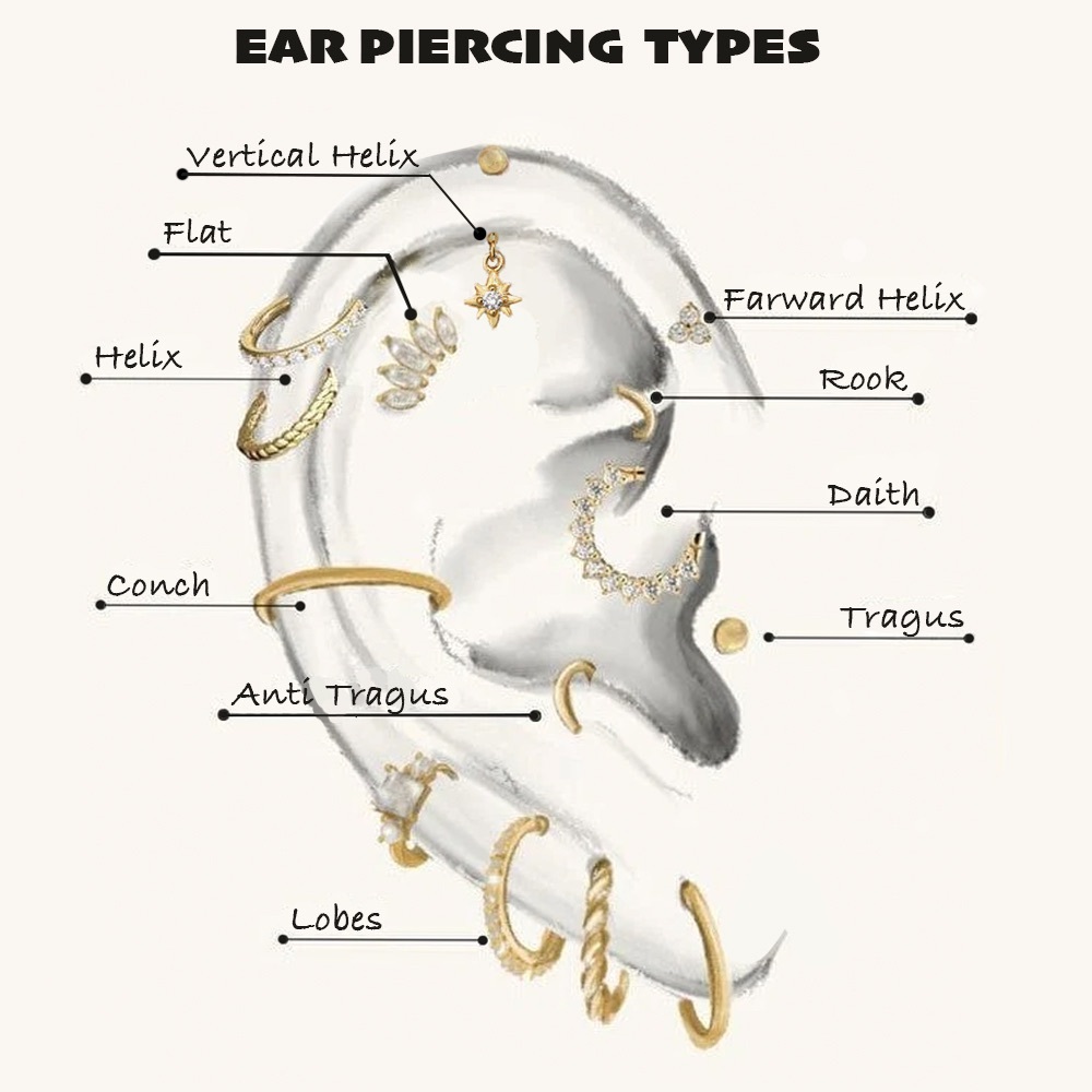 Elegant Gold S925 Flower cartridge Stud Earring - Picture 5 of 5